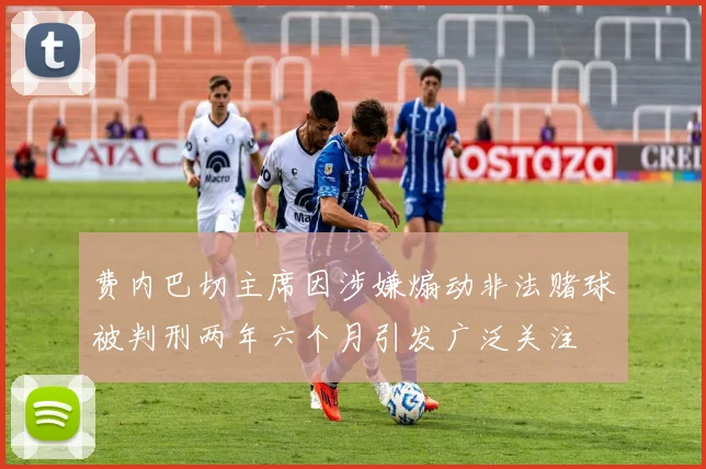 费内巴切主席因涉嫌煽动非法赌球被判刑两年六个月引发广泛关注